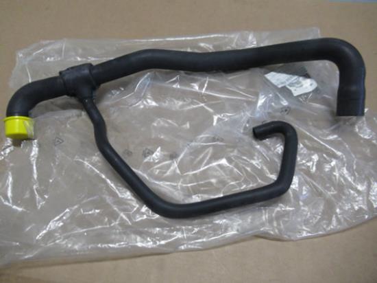 1473339080 Koelslang