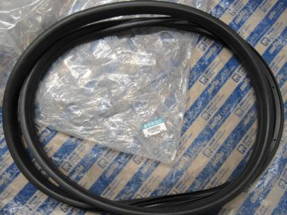 51773666 Profielrubber portier