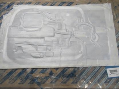 51805943 Bescherming deurpaneel rechterzijde