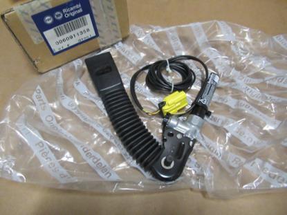 60911358 Gordeltulp rechterzijde