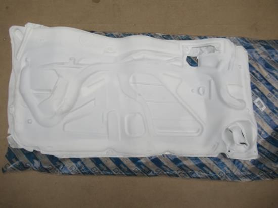 46774804 Beschermplaat voor portier linksvoor