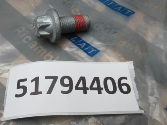 51794406 Bout met ring remklauw