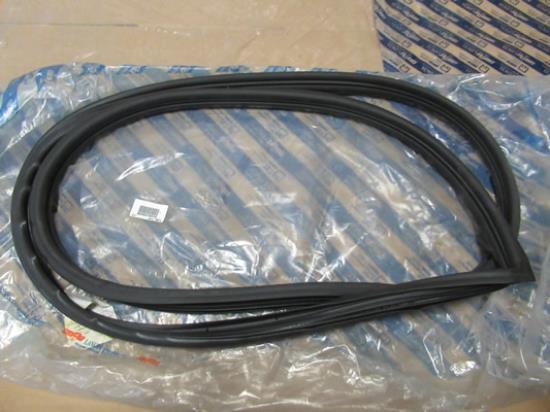 46316510 Profielrubber raam linksvoor