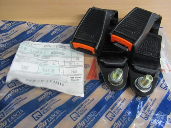 182860980 Gordeltulp voor acherbank