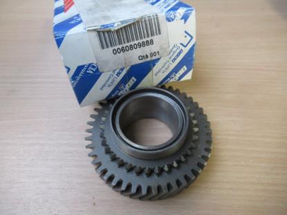 60809888 Tandwiel voor 5 VEL 43/31