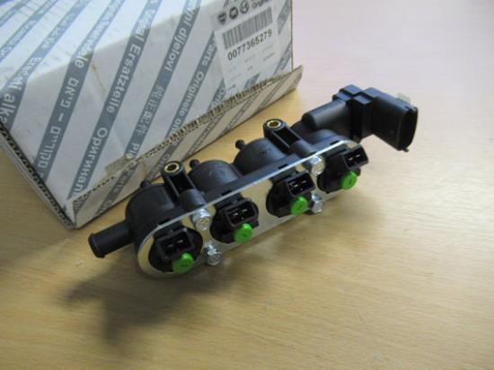 77365279 Injectierail