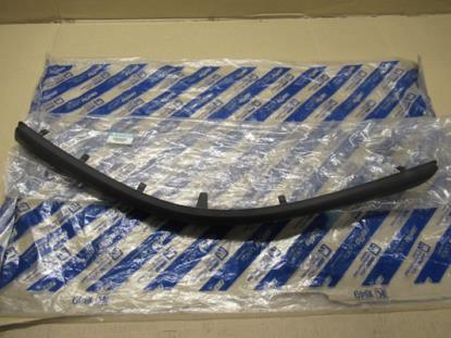 1487512898 Sierlijst bumper linksvoor