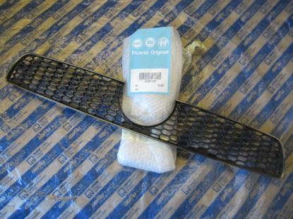 735509437 Grille bumper voorzijde