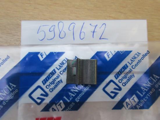 5989672 Veertje sierstrip wielkuip