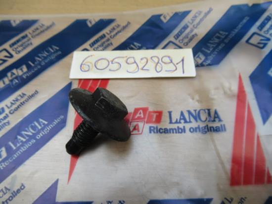 60592891 Bout met ring