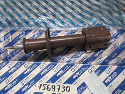 7569730 Schokbreker vering voorzijde