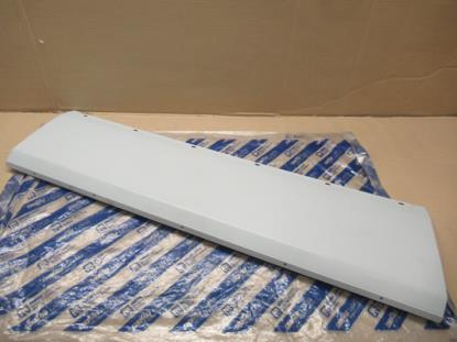 112653999 Sierlijst linksachter