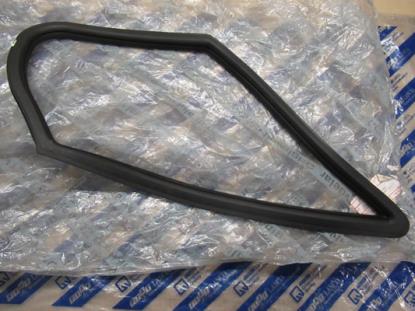 1340228080 Portierruit profielrubber rechtsvoor