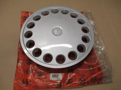 60607487 Wieldop 13"