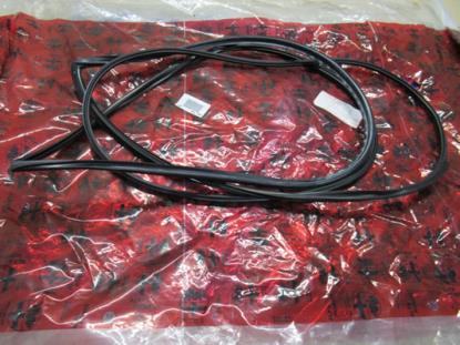 60620898 Pakking voorruit