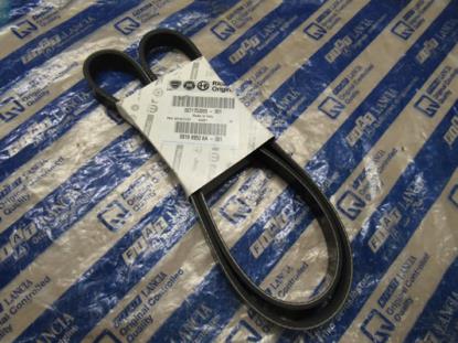 71753865 Multiriem 1173mm