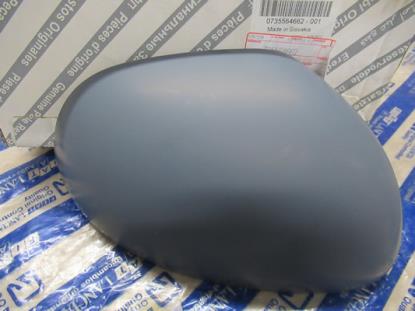 735564662 Spiegelkap rechterzijde