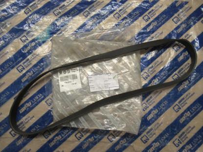 9651255580 Multiriem 1225 mm