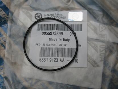 55273899 O-ring dampafscheider 2.2 JTD