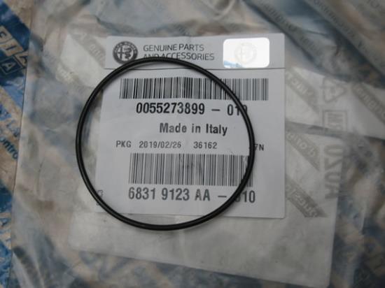 55273899 O-ring dampafscheider 2.2 JTD