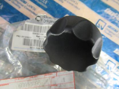 60911095 Knop stoel linksvoor