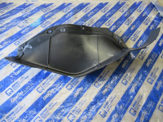 7720850 Bescherming rechts ABS