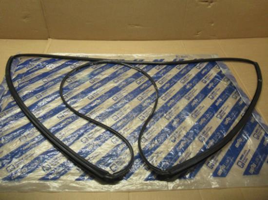 46815118 Profielrubber voorruit