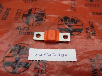 10529190 Zekering 30A