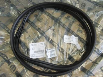 50521532 Profielrubber portier achterzijde