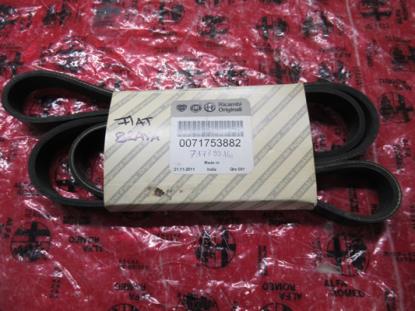 71753882 Multiriem 1763mm