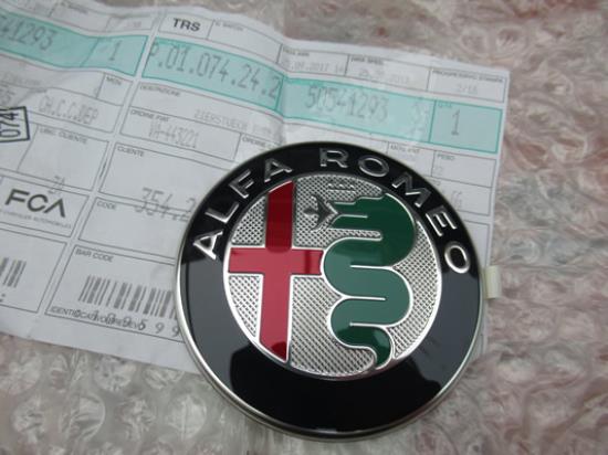 50541293 Embleem voorzijde