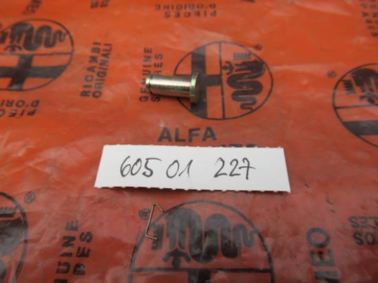 60501227 Stift achterklep