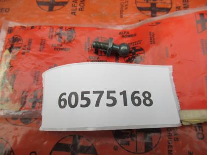 60575168 Pen achterklep M6