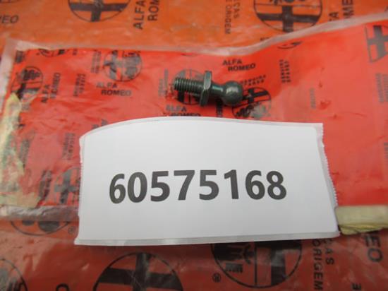 60575168 Pen achterklep M6