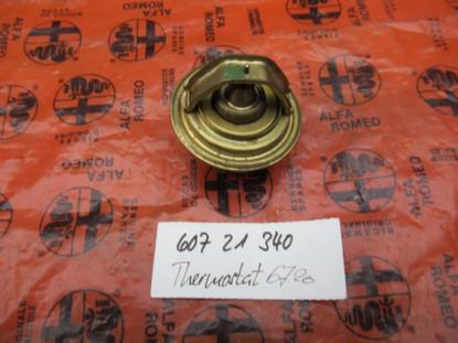 60721340 Thermostaat