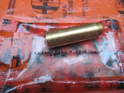 60810438 Klepgeleider