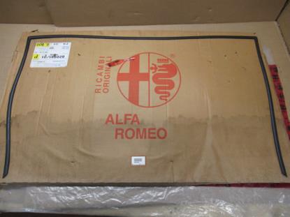 60810934 Profielrubber voorruit