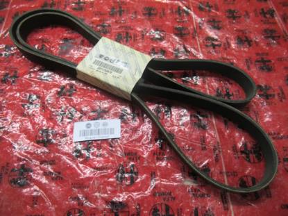 71753878 Multiriem 1950mm 2.0 TS