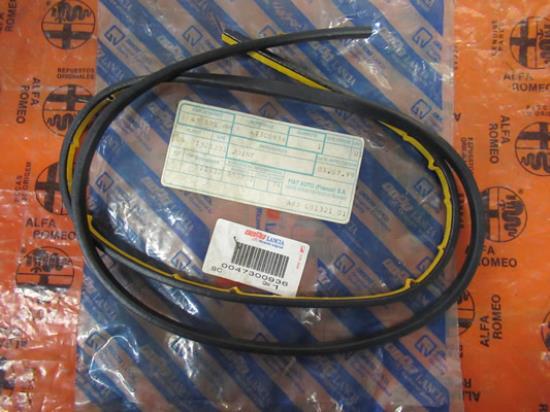 47300936 Voorruit pakking