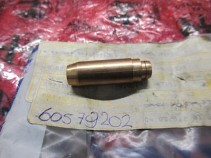 60579202 Klepgeleider inlaat