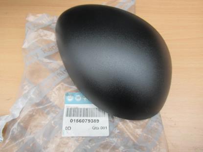 156079389 Spiegelkap rechterzijde