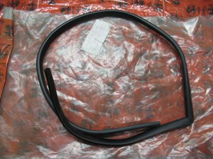 60509689 Profielrubber portier linksachter