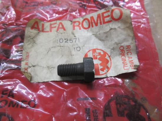 102571 Bout remschijf