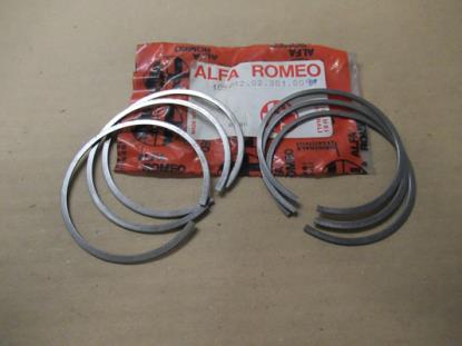 1051202301009 Zuigerverenset