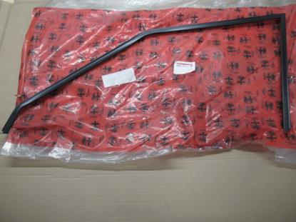 60544263 Profielrubber portier linksvoor