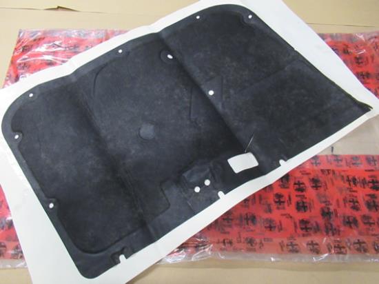 60572998 Bescherming portier linksvoor