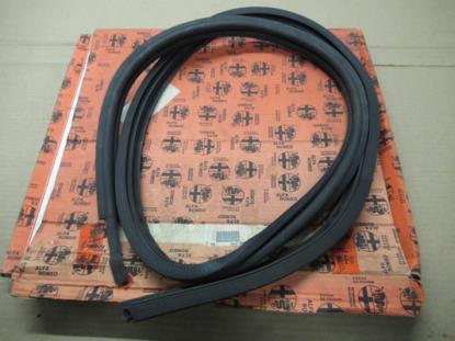 60658598 Pakking portier rechterzijde