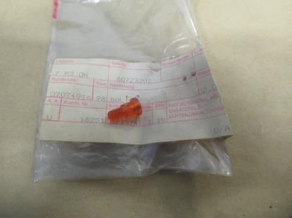 60723202 Richtingaanwijzer bout