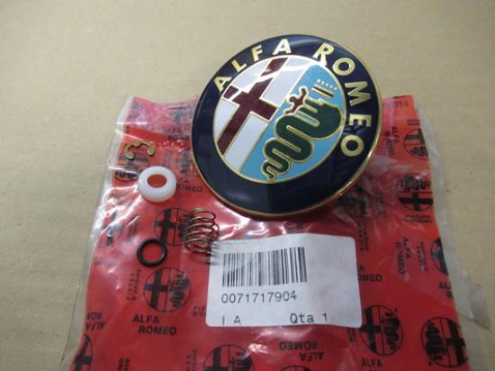 71717904 Embleem slot achterklep