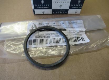 137873 Pakking voor thermostaat